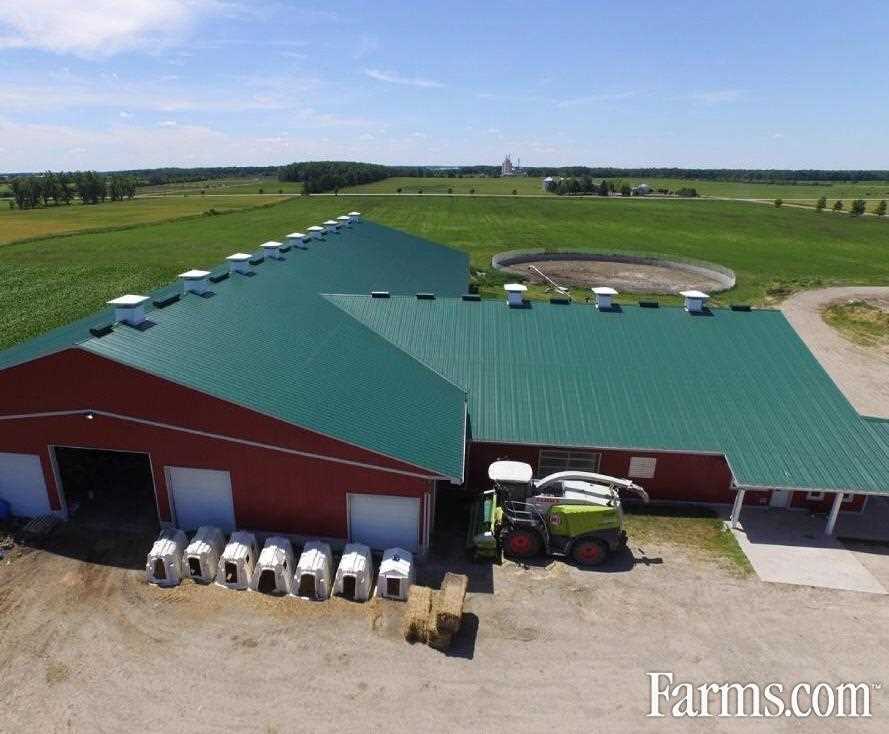 Dairy Farm for Sale, Moorefield, Ontario