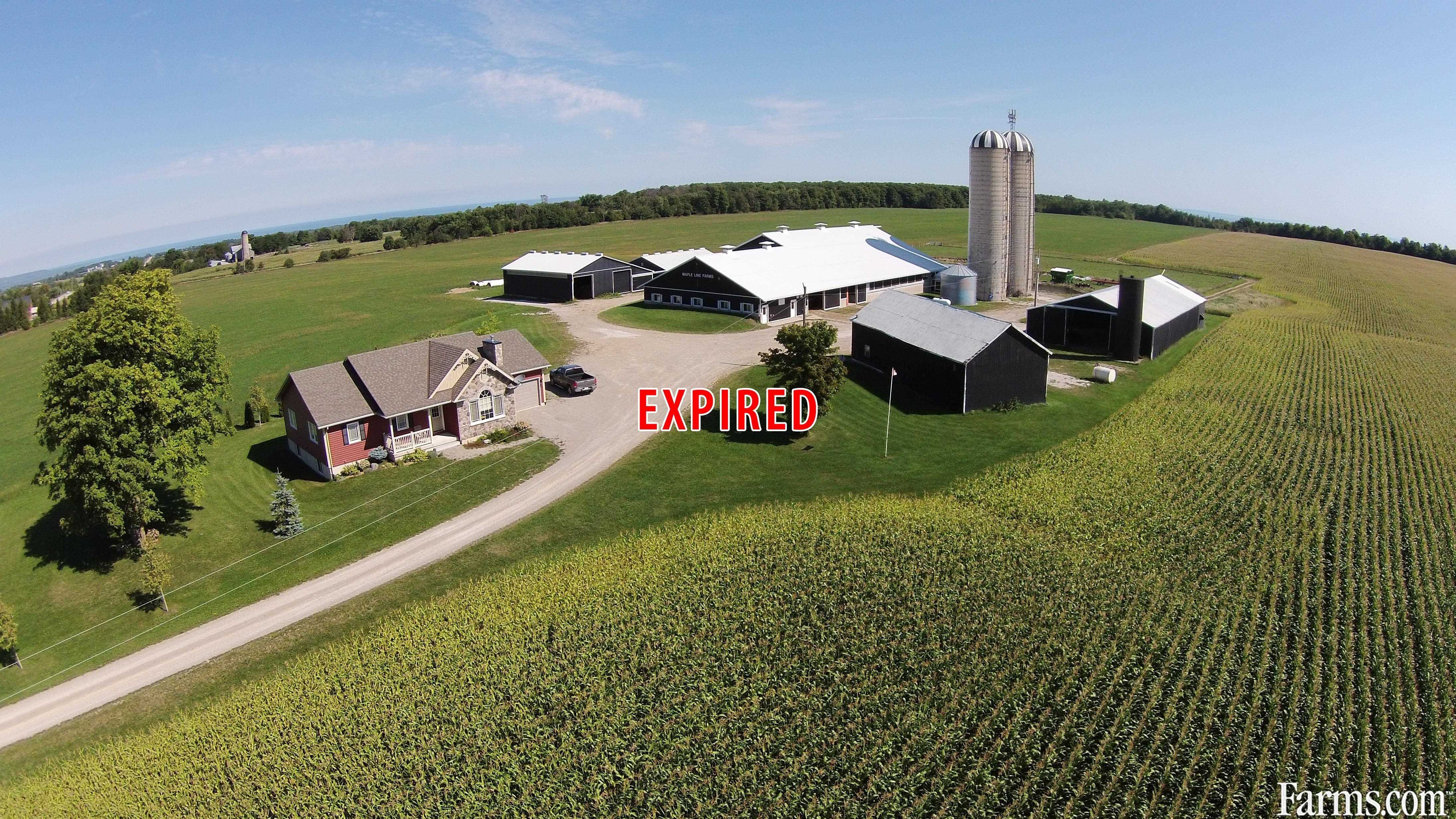 Dairy Farm For Sale Grey Highlands Ontario Farms Com