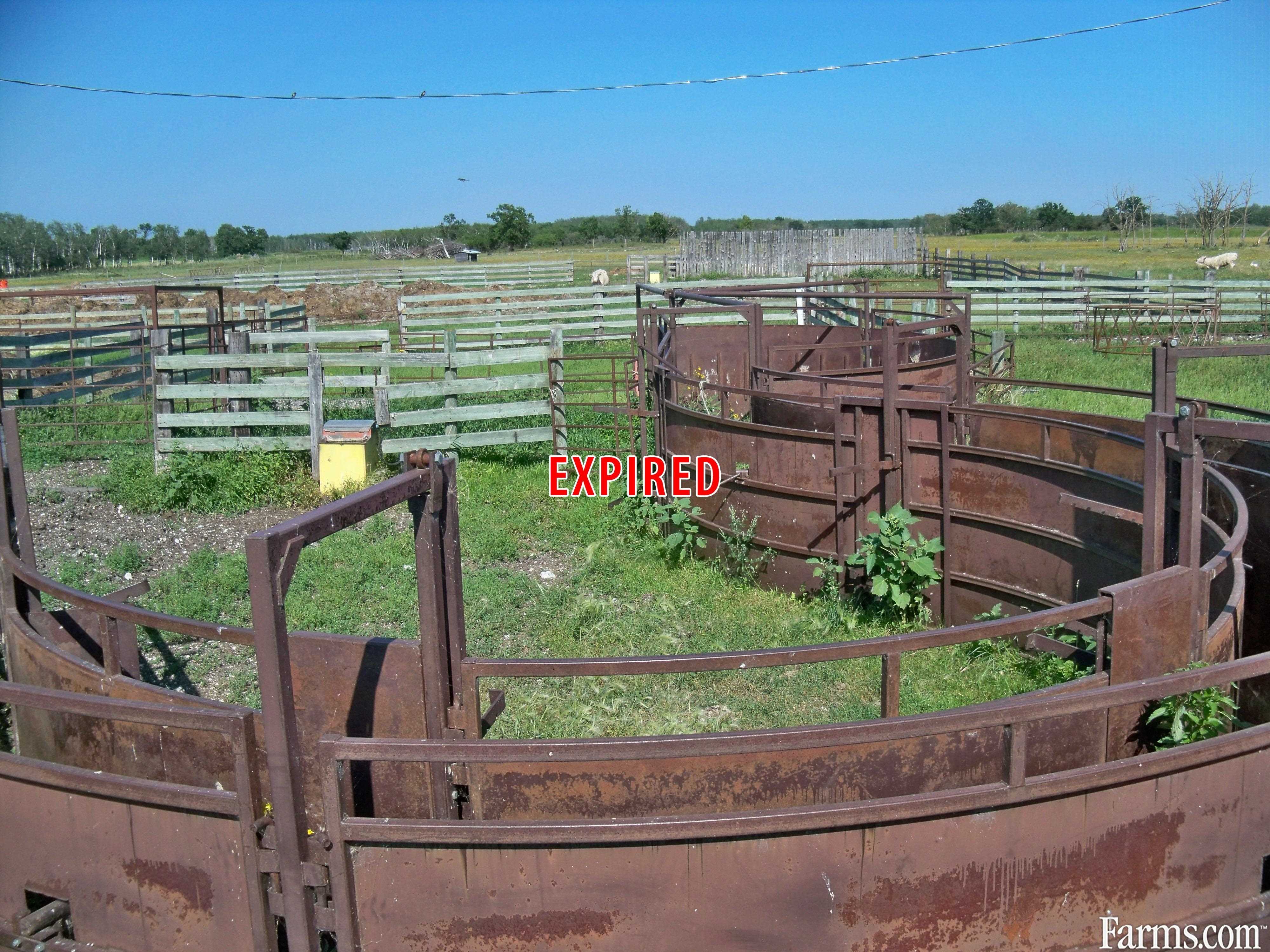 Cattle Ranches For Sale In Canada