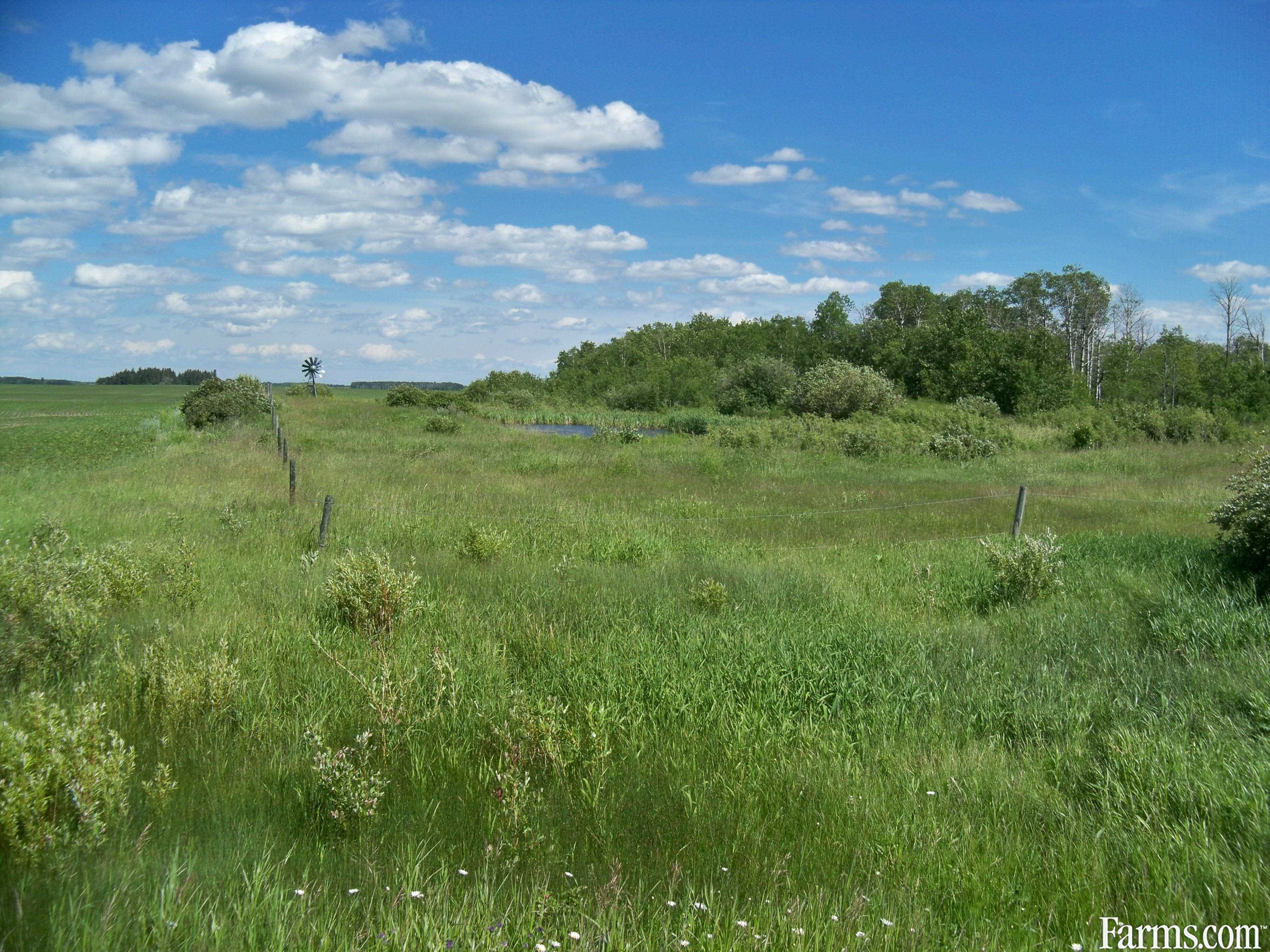 Hobby Farm for Sale, Gilbert Plains, Manitoba | Farms.com