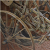 Riding Cultivator image 3 